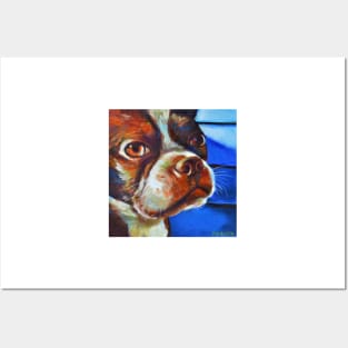 Classy Hank the BOSTON TERRIER Posters and Art